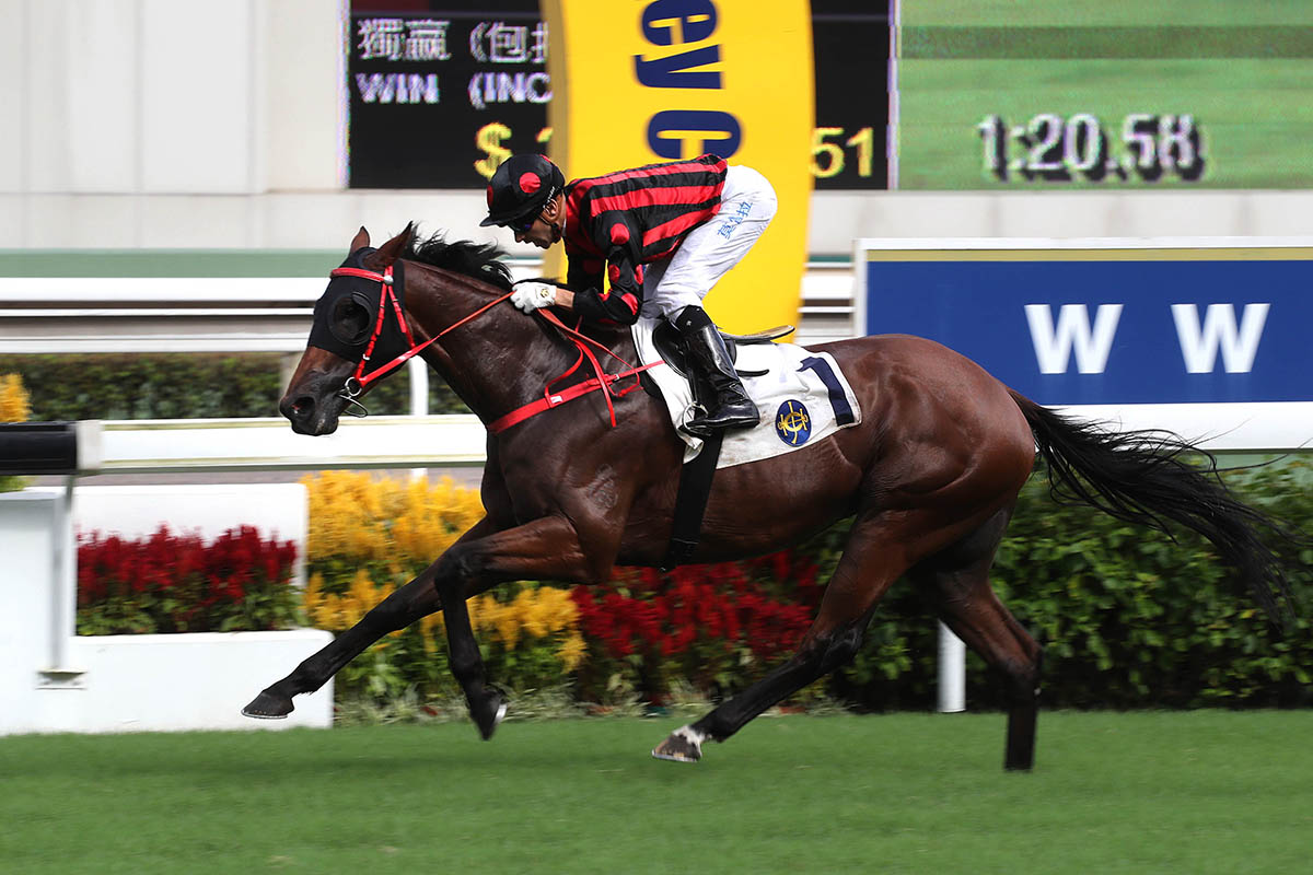 Thewizardofoz lands last season’s G3 Premier Cup in style with Joao Moreira in the saddle.