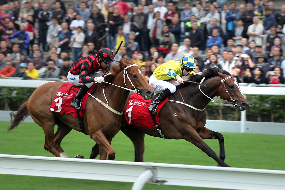 The John Moore-trained Werther (horse No. 1), ridden by Tommy Berry, wins the BOCHK Jockey Club Cup (G2 - 2000m) at Sha Tin Racecourse today.