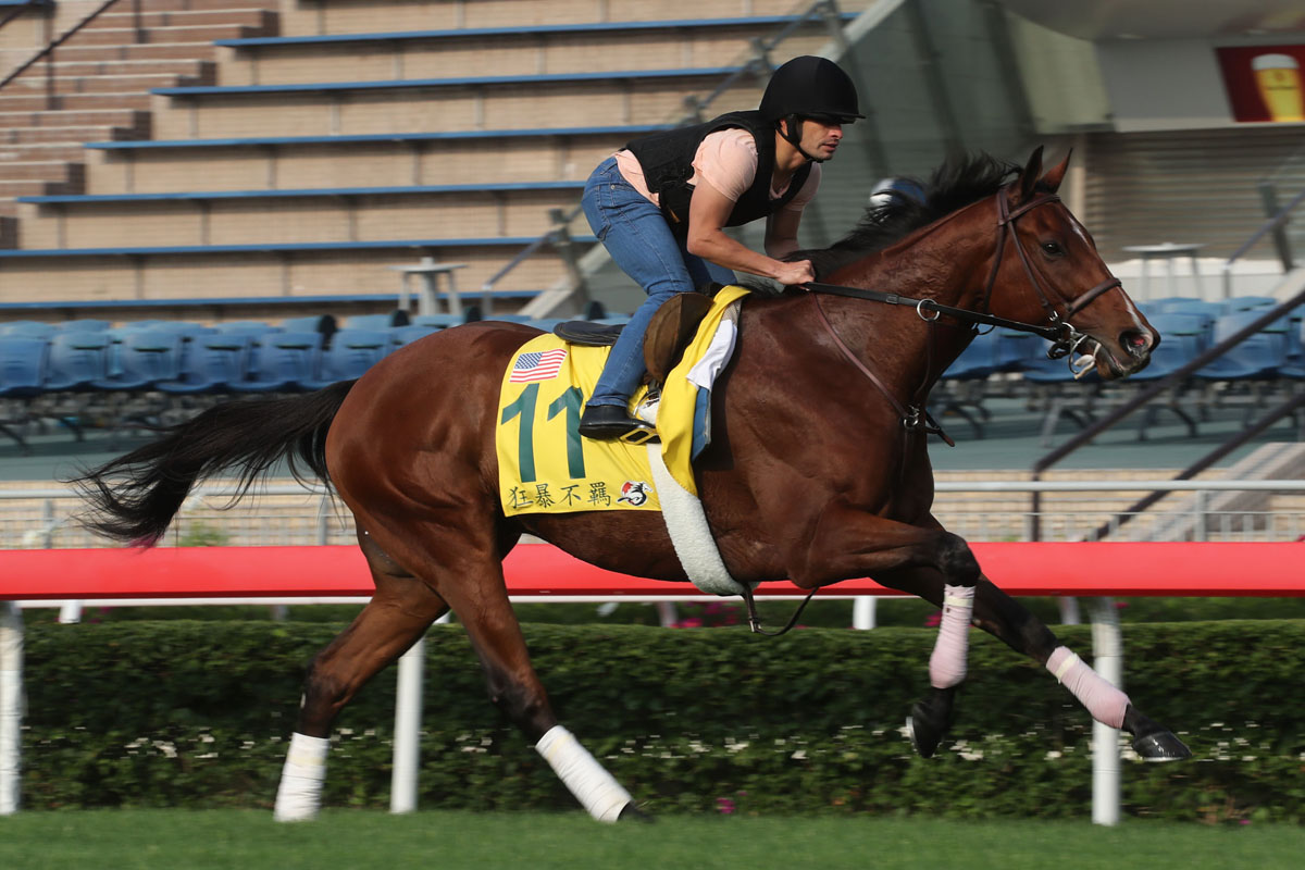 Stormy Liberal works on the turf under Silvestre de Sousa at Sha Tin on Wednesday morning.