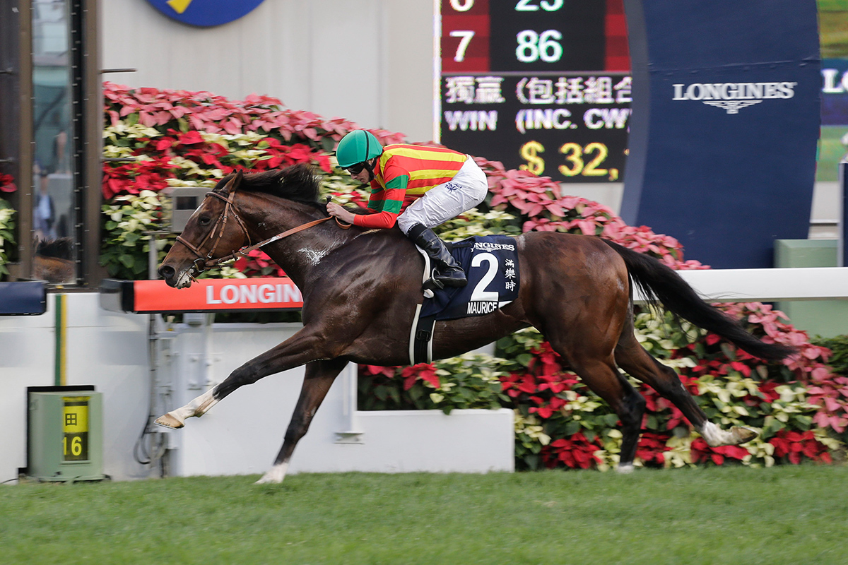 Maurice takes another HKIR win in the LONGINES Hong Kong Cup last year.
