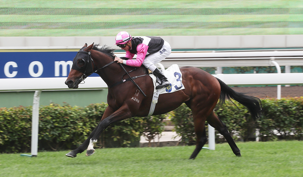 Ridden by Zac Purton, the Paul O’Sullivan-trained Win Beauty Win takes the Griffin Trophy (1400m) at Sha Tin Racecourse.