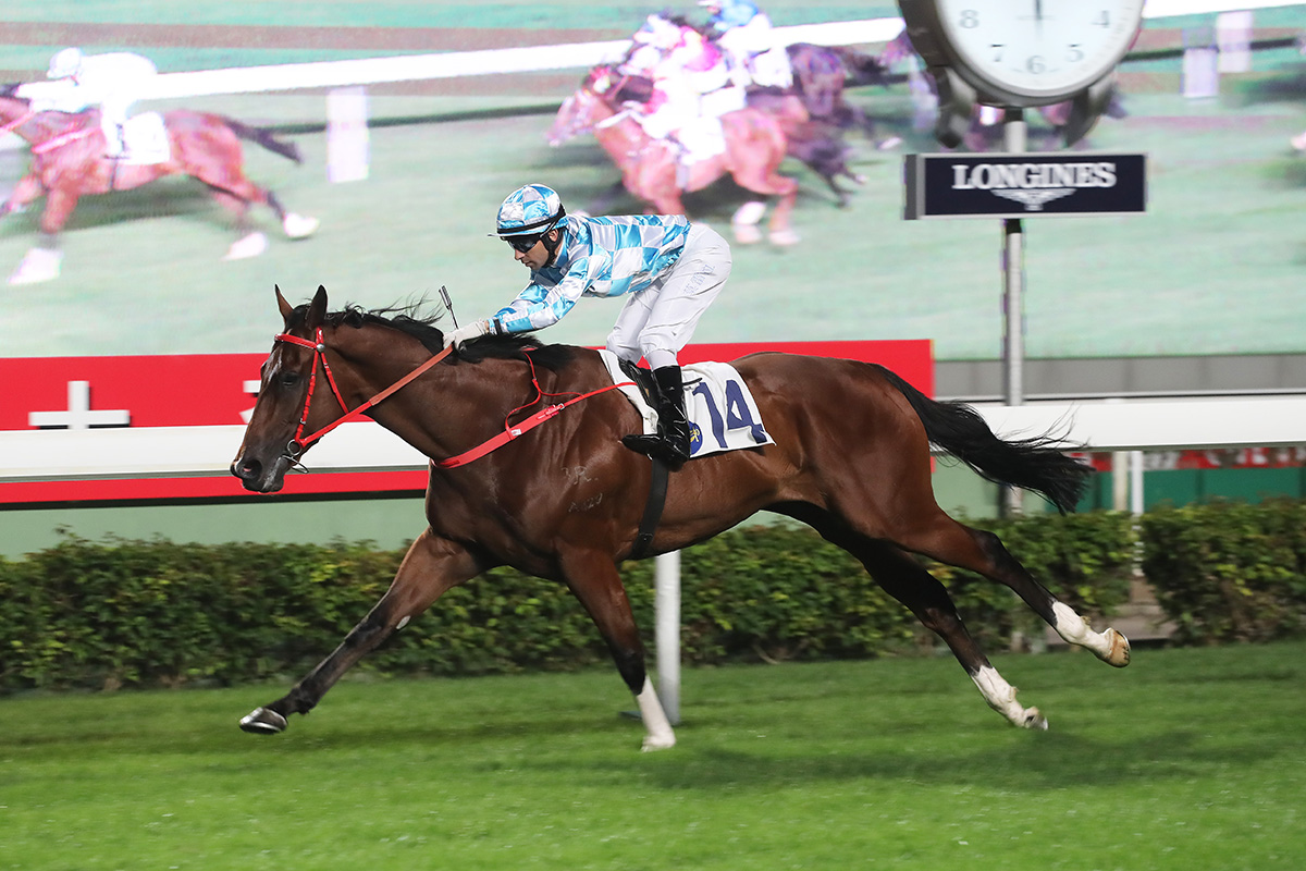 Conte makes it two from two at Sha Tin last month.