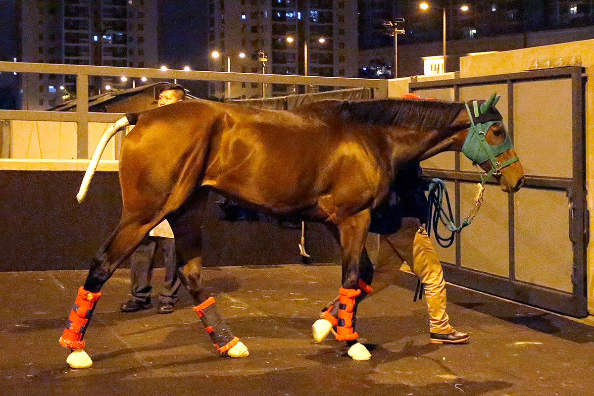Once In A Moon (LONGINES Hong Kong Sprint)
