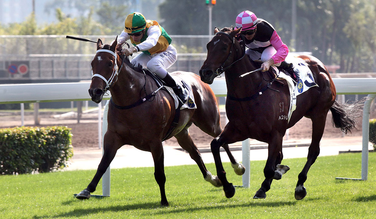 Sparkling Dragon (in green/yellow), ridden by Sam Clipperton, holds off Win Beauty Win (in pink) to take the Class 4 Granville Handicap in Race 3.