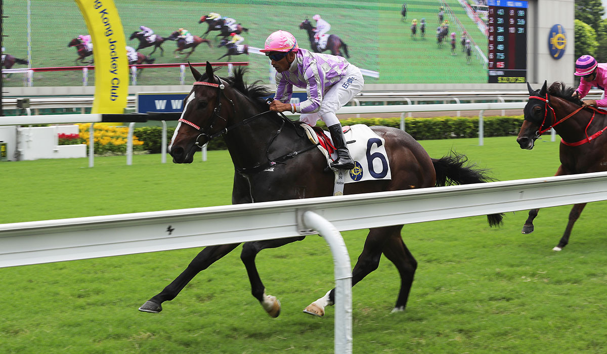 The Ricky Yiu-trained Alcari won his debut in October comfortably.