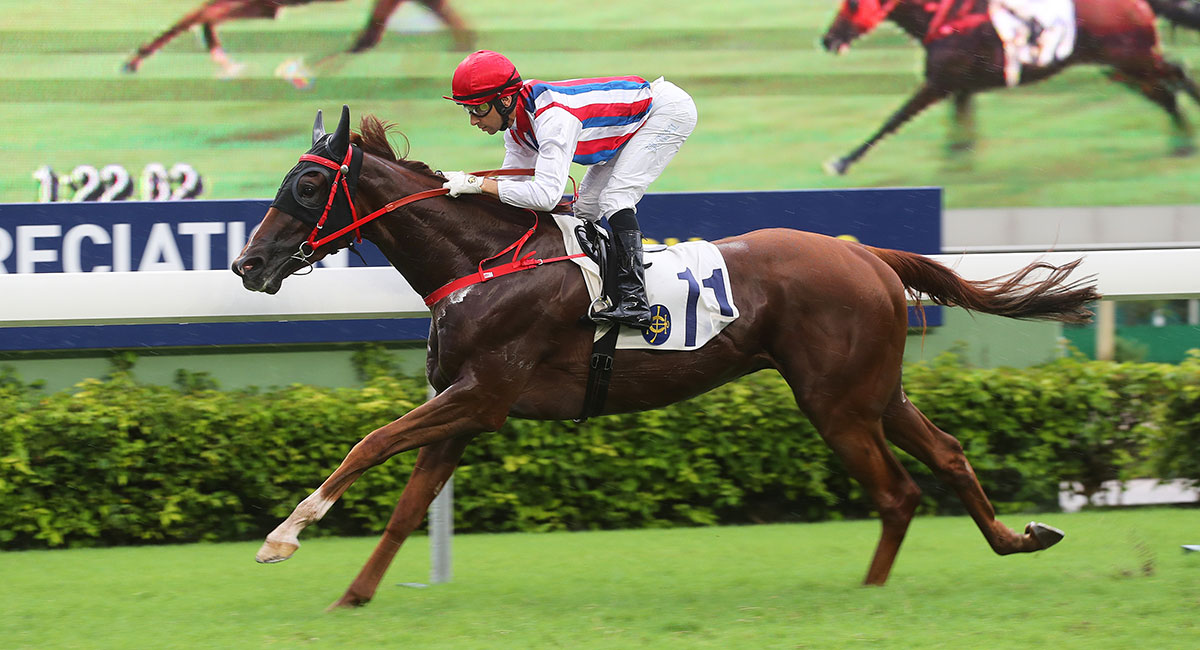 Calculation is one of two horses who will try to give owner Hui Sai Fun a century of wins at Sha Tin on Saturday.