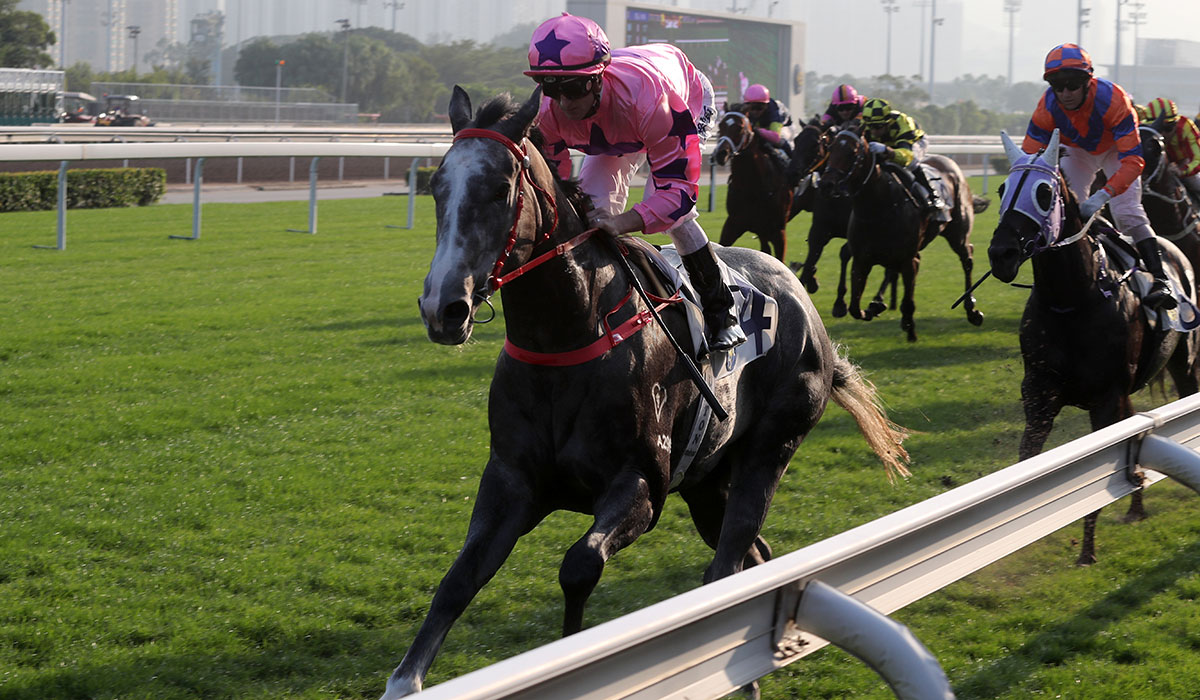 Hot King Prawn cruised home at his last start over Sha Tin’s straight 1000m.