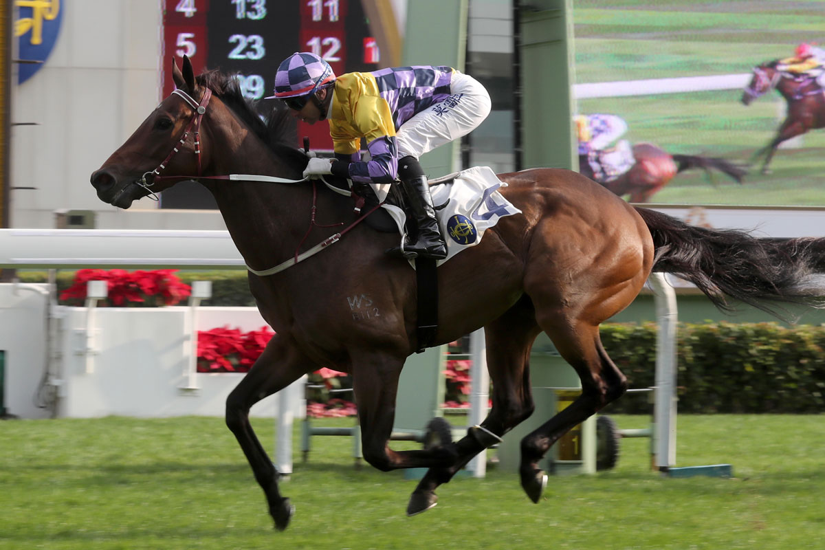 Easy Go Easy Win scores at his Hong Kong debut for trainer John Moore and jockey Joao Moreira, winning the Class 3 Lukfook Jewellery PT Bridal Collection Handicap.