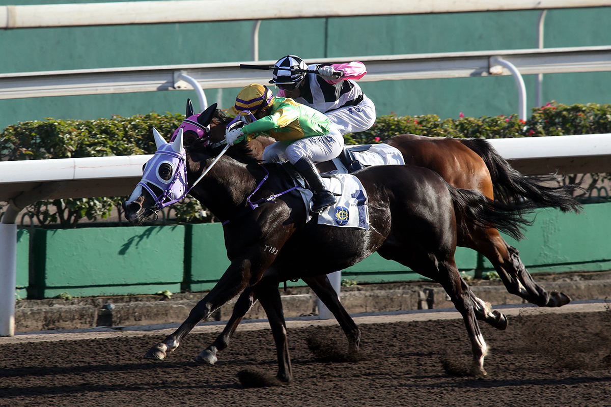 Classic Emperor, ridden by Keith Yeung, overhauls Beauty Prince to win the Class 2 Hong Kong Shipowners Association 60th Anniversary Cup Handicap.