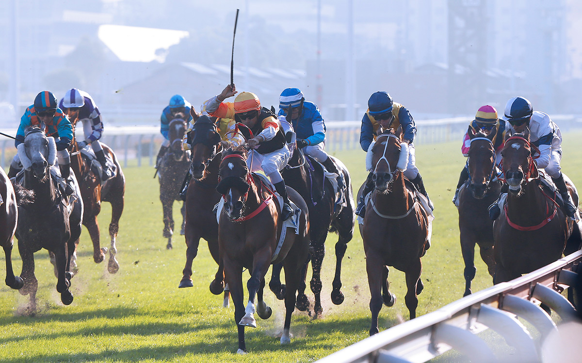 Premiere (black and orange silks) edges House Of Fun (white and blue silks) at the course and distance on 26 November.