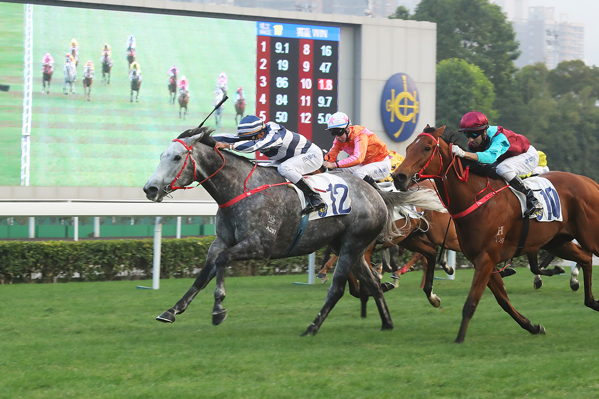 Fifty Fifty (No. 12), with Karis Teetan in the saddle, claims the Group 3 Chinese Club Challenge Cup (1400m Handicap) at Sha Tin Racecourse today.