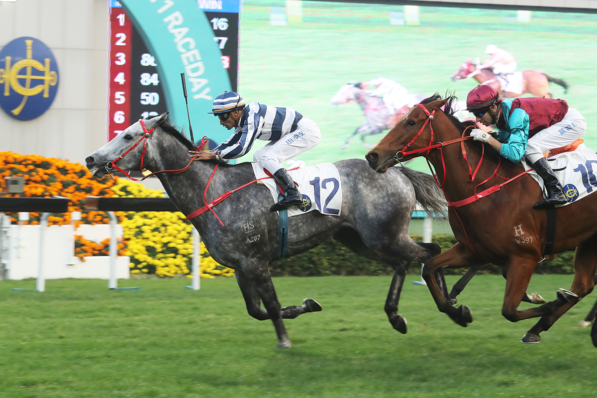 Fifty Fifty (No.12) holds off Beat The Clock (No. 10) to win the G3 Chinese Club Challenge Cup.