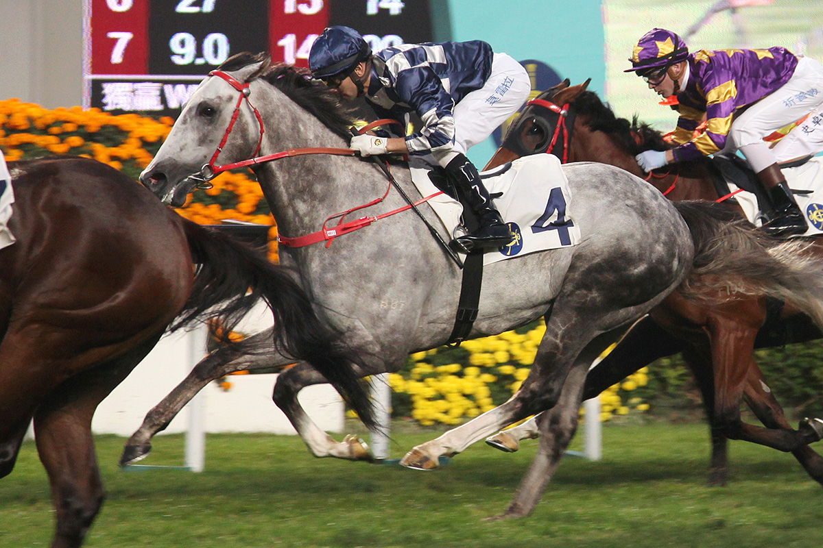 G1-placed Lockheed will bid for Classic Mile glory on Sunday.