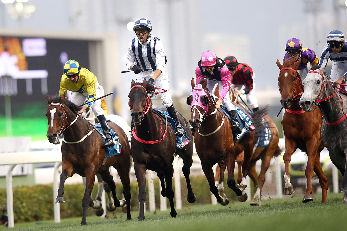 Danny Shum-trained Seasons Bloom (No. 6), with Joao Moreira on board, edges Fifty Fifty (No. 11) to win the G1 Stewards’ Cup (1600m), the first leg of Triple Crown, at Sha Tin Racecourse today.