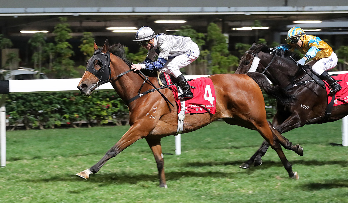 Archippus was impressive when taking a 1200m Class 2 at Happy Valley last month.