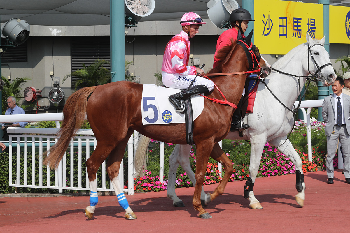 Simply Brilliant is racing to seal a berth in the Hong Kong Classic Mile in a fortnight’s time.