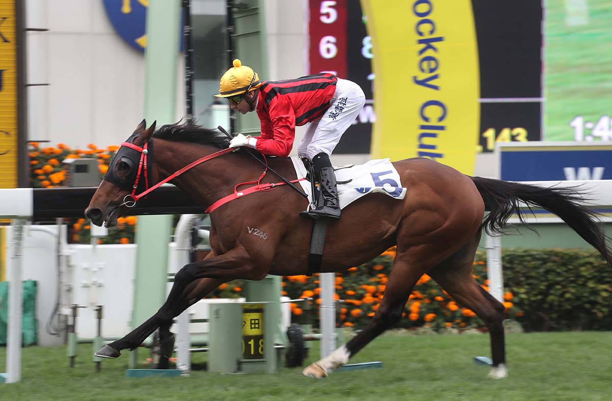 Dinozzo notches his second victory in four days in the G3 Centenary Vase Handicap at Sha Tin today.