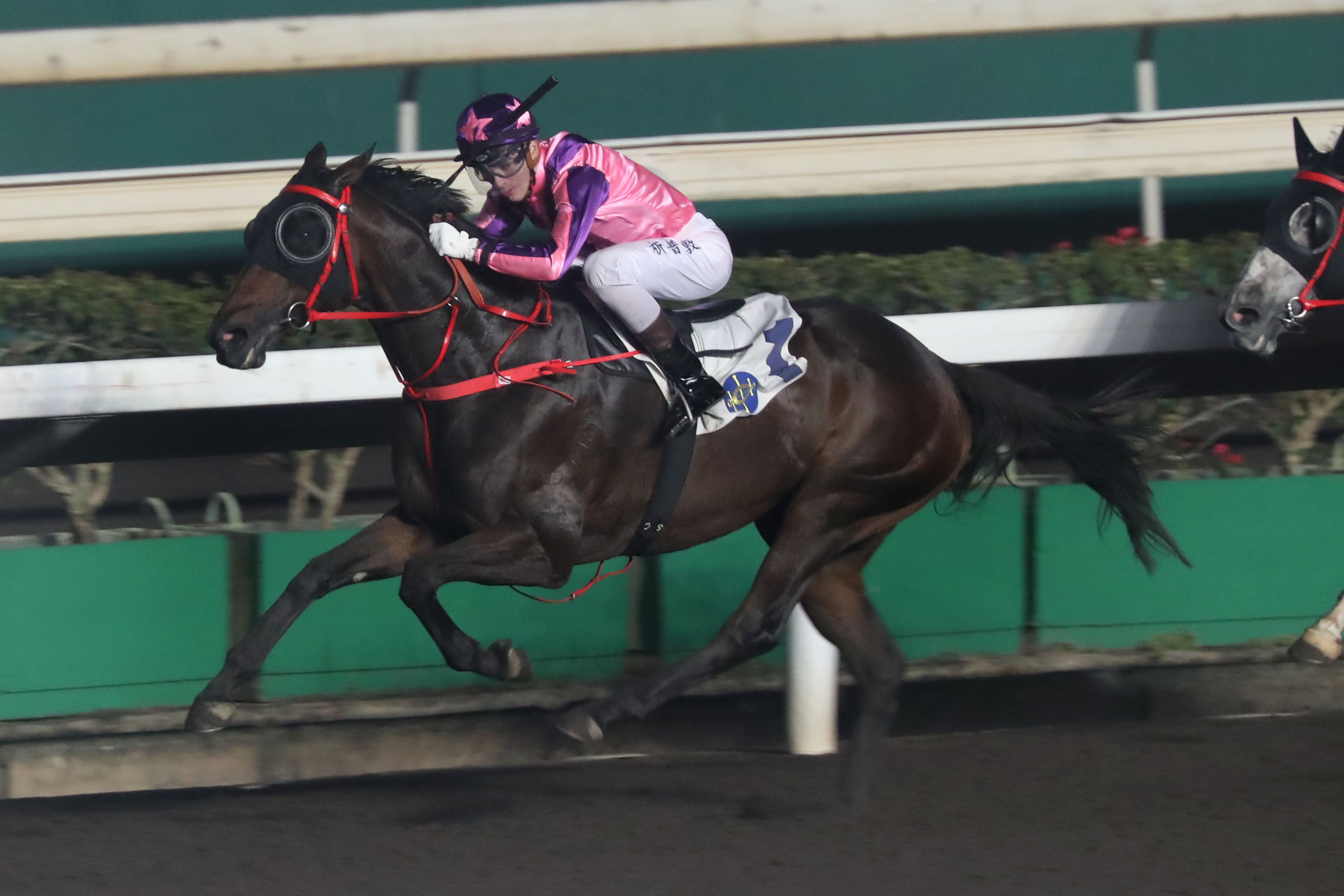 Prawn Baba scores on the Sha Tin dirt last time out.