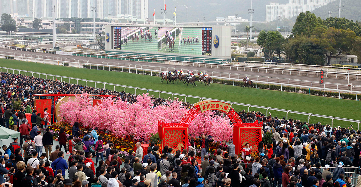 The flowery Blossom Avenue and lucky windmills at the racecourse bring blessings for a prosperous year.