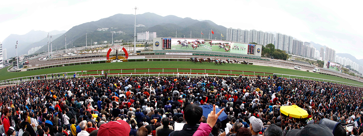 Tens of thousands of race goers are drawn to the Chinese New Year Raceday at Sha Tin.