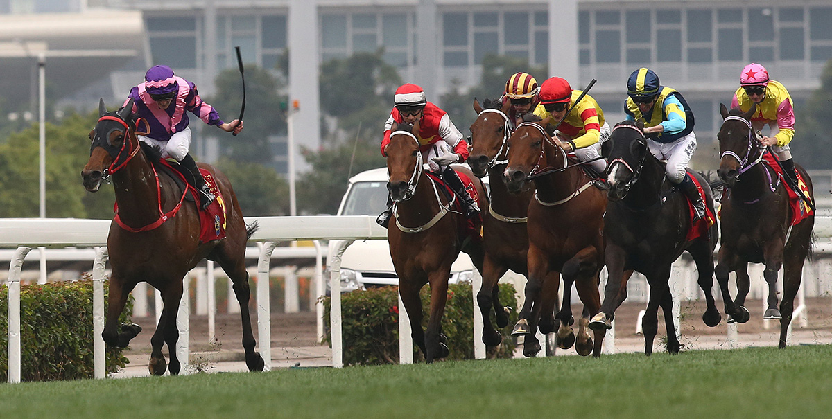 The Frankie Lor-trained Dundonnell (No.3), ridden by Chad Schofield storms home to take the Class 1 Chinese New Year Cup Handicap at Sha Tin Racecourse today.