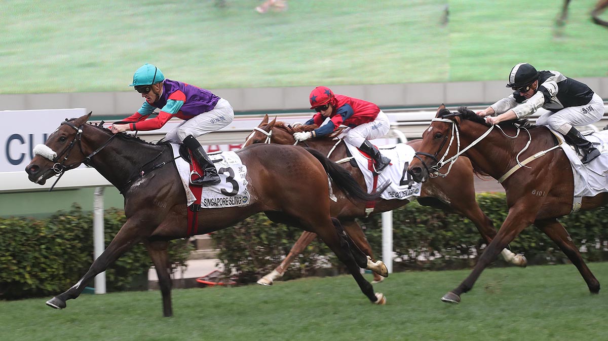 The Chad Schofield-ridden Singapore Sling (No. 3), trained by Tony Millard, wins the Hong Kong Classic Cup (1800m), the second leg of the Hong Kong Four-Year-Old Series, at Sha Tin Racecourse today.