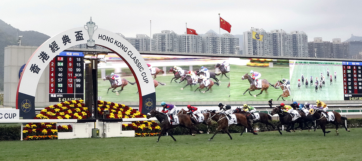 The Chad Schofield-ridden Singapore Sling (No. 3), trained by Tony Millard, wins the Hong Kong Classic Cup (1800m), the second leg of the Hong Kong Four-Year-Old Series, at Sha Tin Racecourse today.
