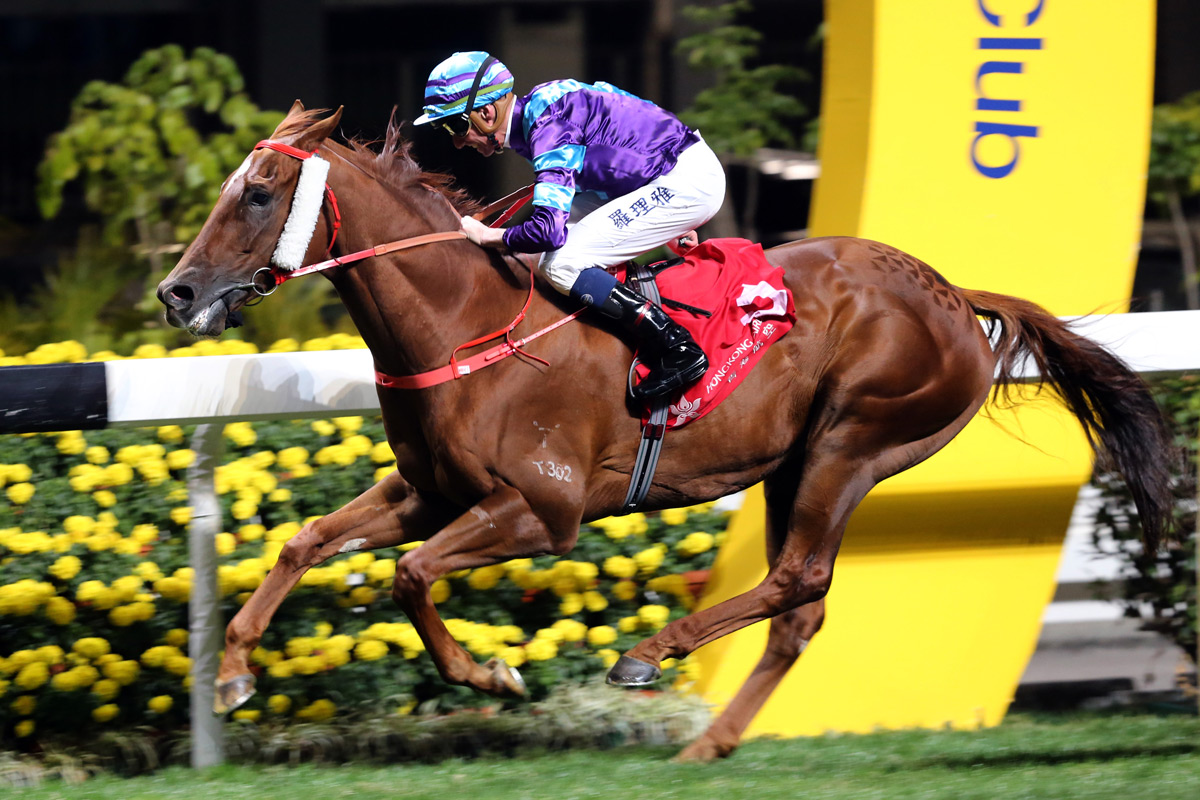 Charity Glory’s win earlier this month was enough to seal the Hong Kong Airlines Million Challenge