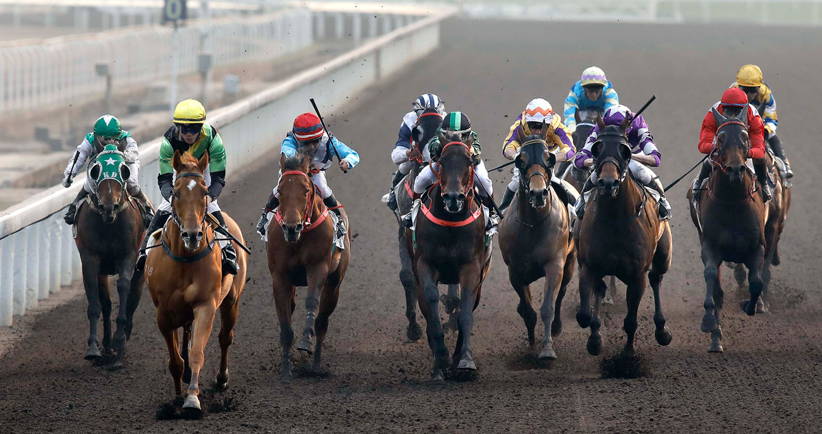 Ugly Warrior (yellow cap) completes a hat-trick of dirt wins last start.