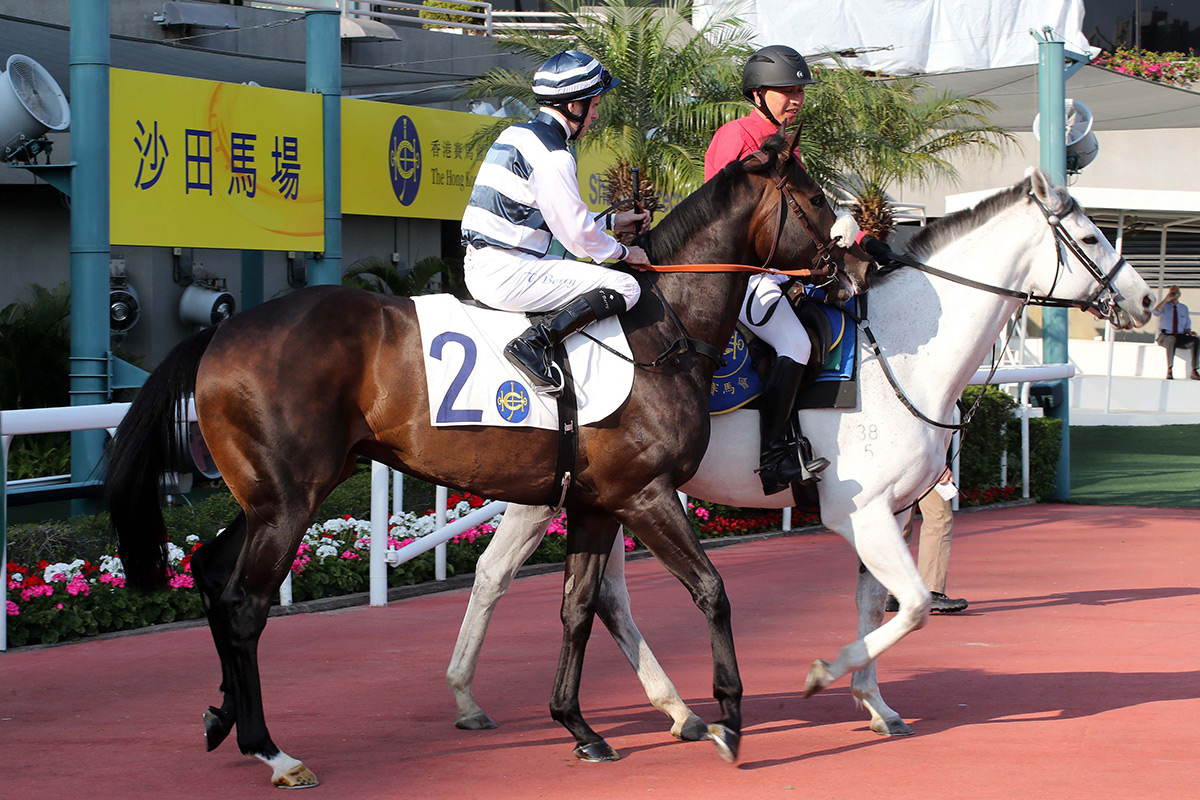 Harmony Hero will attempt to open his Hong Kong account at Sha Tin’s Easter Monday fixture.