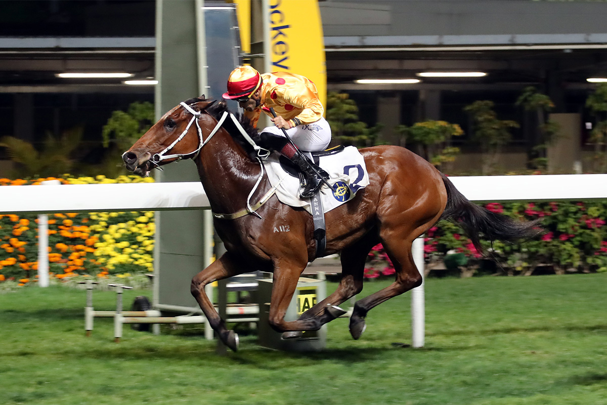Gold Mount (No. 2), trained by Tony Cruz and ridden by Alberto Sanna, wins the Class 1 Happy Valley Vase (1800m) at Happy Valley tonight.