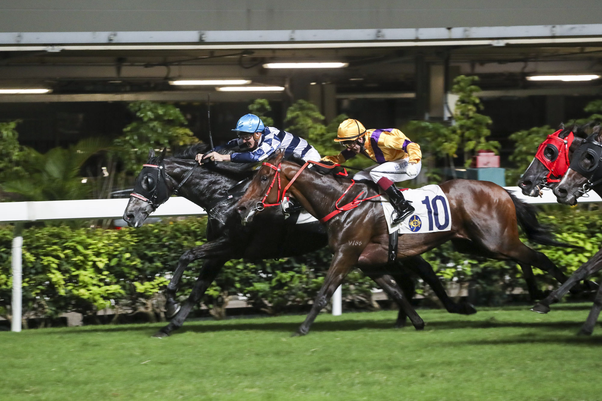 Chad Schofield (blue cap) steers Packing Dragon to victory at Happy Valley last season.