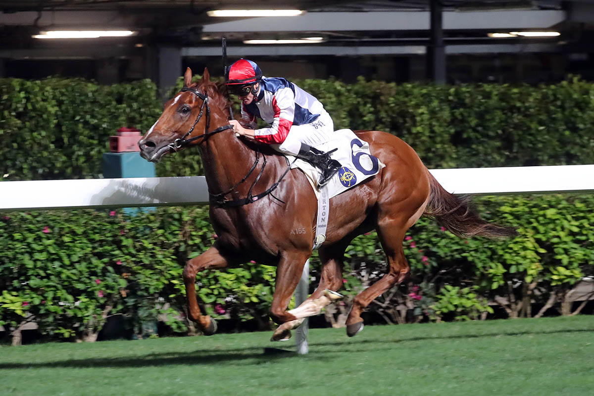 Fast Most Furious seals a comfortable victory in the Class 3 Hong Kong Rugby Union Cup Handicap, giving Purton his third win of the night.