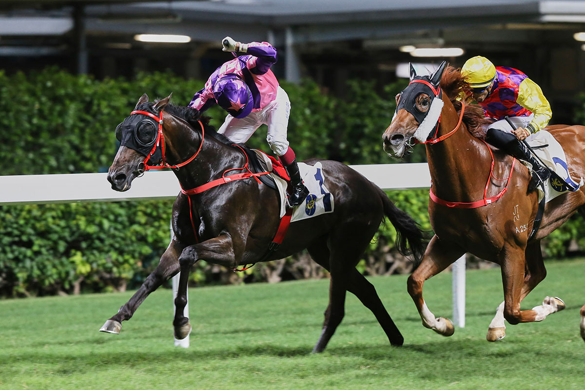 Prawn Baba wins at Happy Valley with Olivier Doleuze on board.