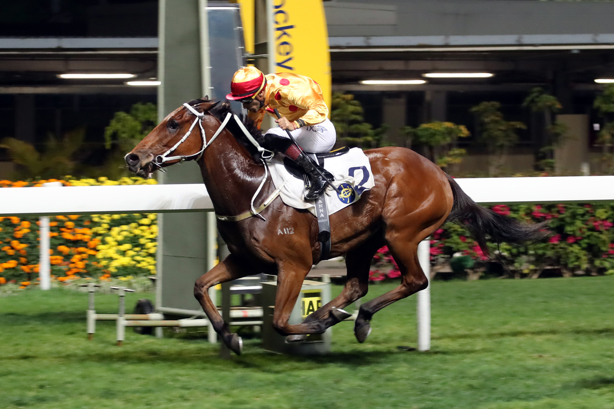Gold Mount takes the Happy Valley Vase with Alberto Sanna aboard.