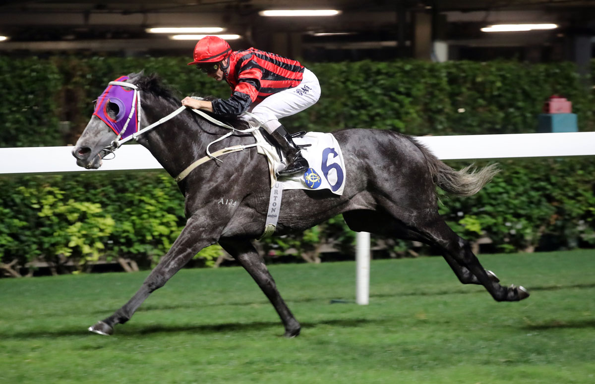 Super Chic breaks his local maiden over 2200m at Happy Valley.