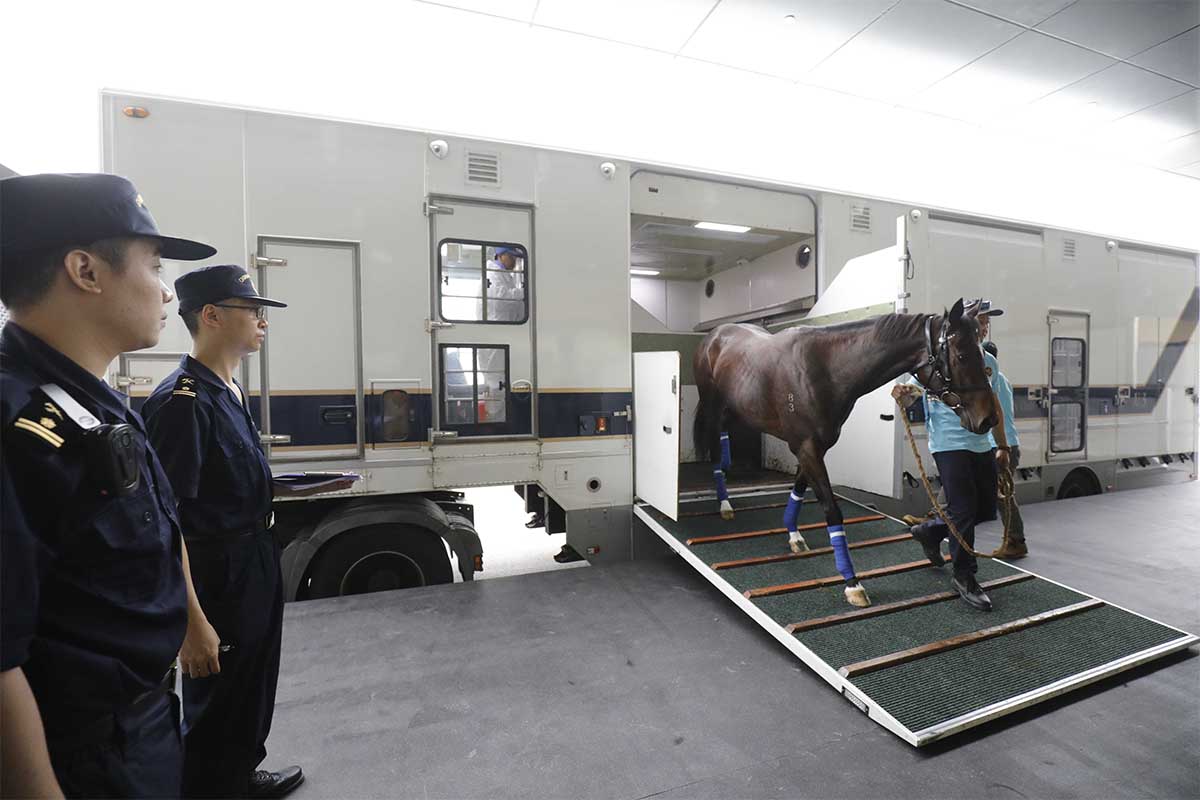 The first shipment of 14 retired horses, belonging to the Racing Development Board Stable, arrived at Conghua Training Centre on Tuesday morning. They are the first horses to be stabled at Conghua Training Centre.