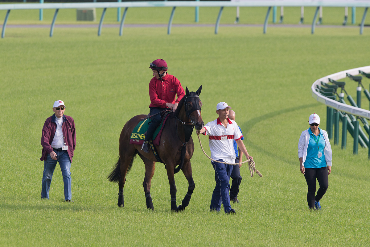 John Moore (left) inspects Werther at Hanshin trackwork this morning.