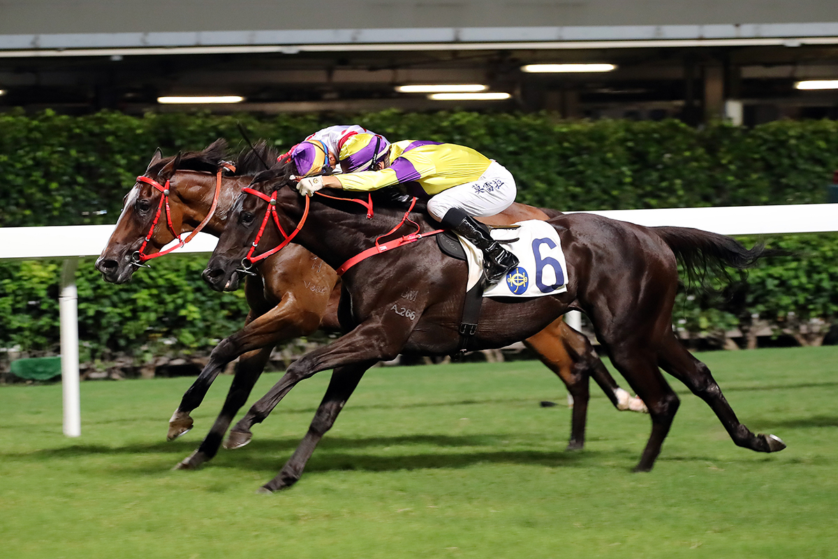 Joao Moreira completes his double atop Jolly Bountiful (in yellow).