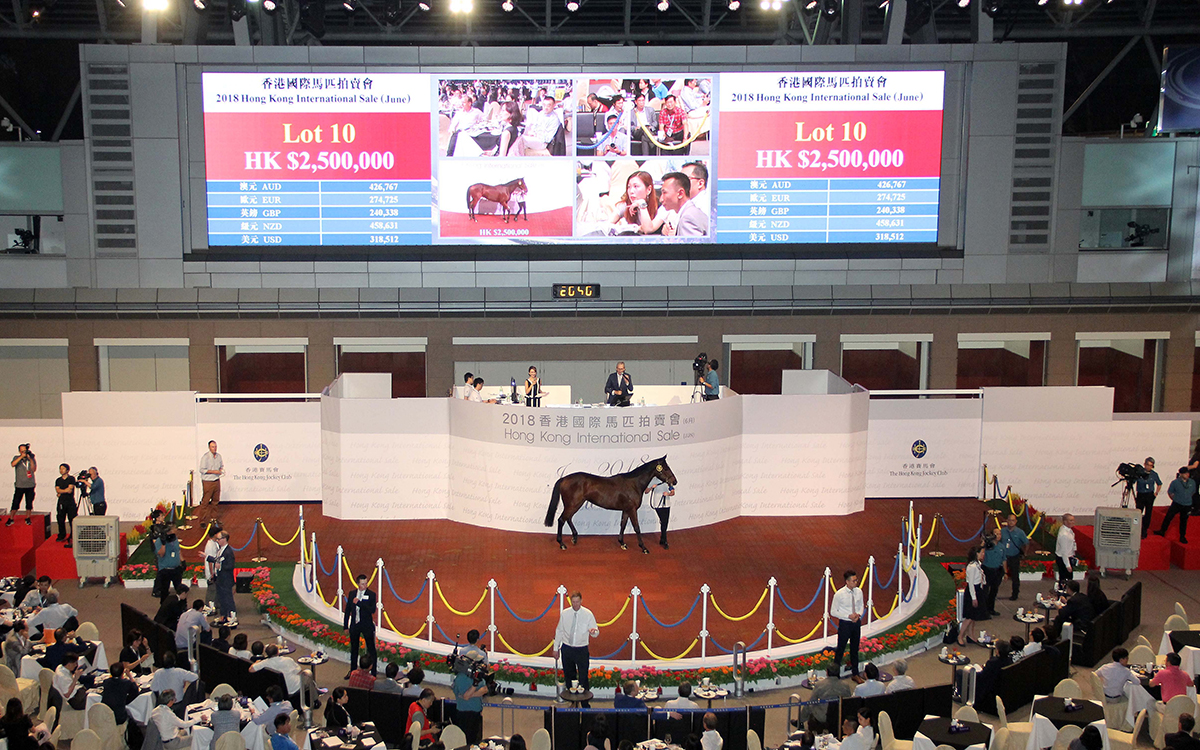 Lot 10 (O'Reilly ex Glamouraad) was bought by Chan Tak Wa for HK$2.5 million.