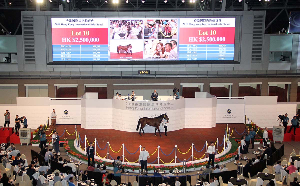 Lot 10 (O'Reilly ex Glamouraad) was bought by Chan Tak Wa for HK$2.5 million.