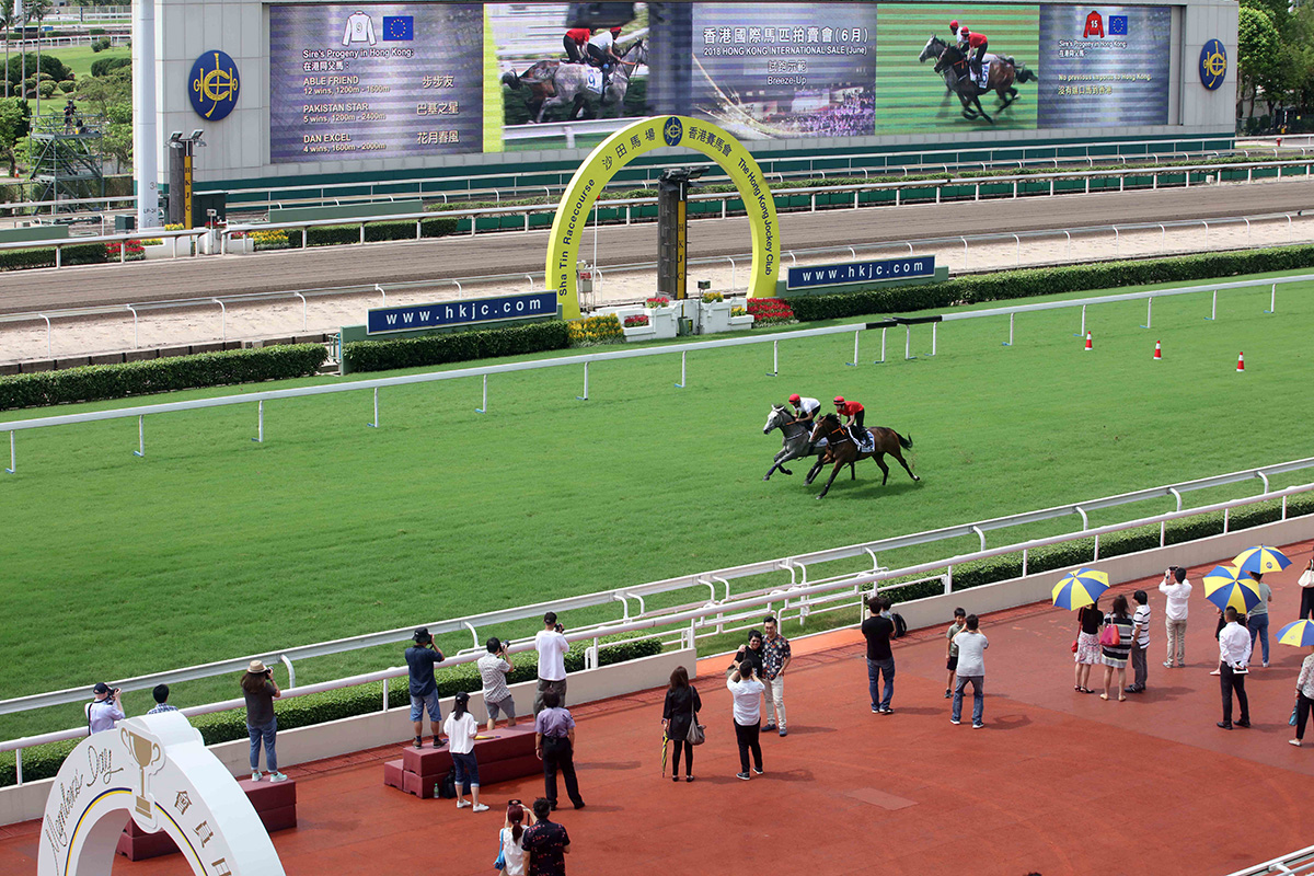 Owners, trainers, jockeys and guests watched the 2018 Hong Kong International Sale (June) Breeze-up at Sha Tin Racecourse today.