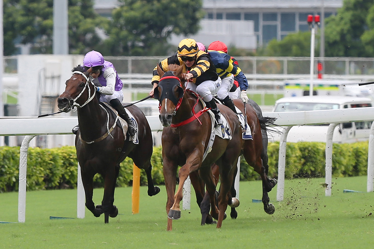Glorious Forever (in gold/black) breaks the Sha Tin 2000m course record previously held by his full brother Time Warp.