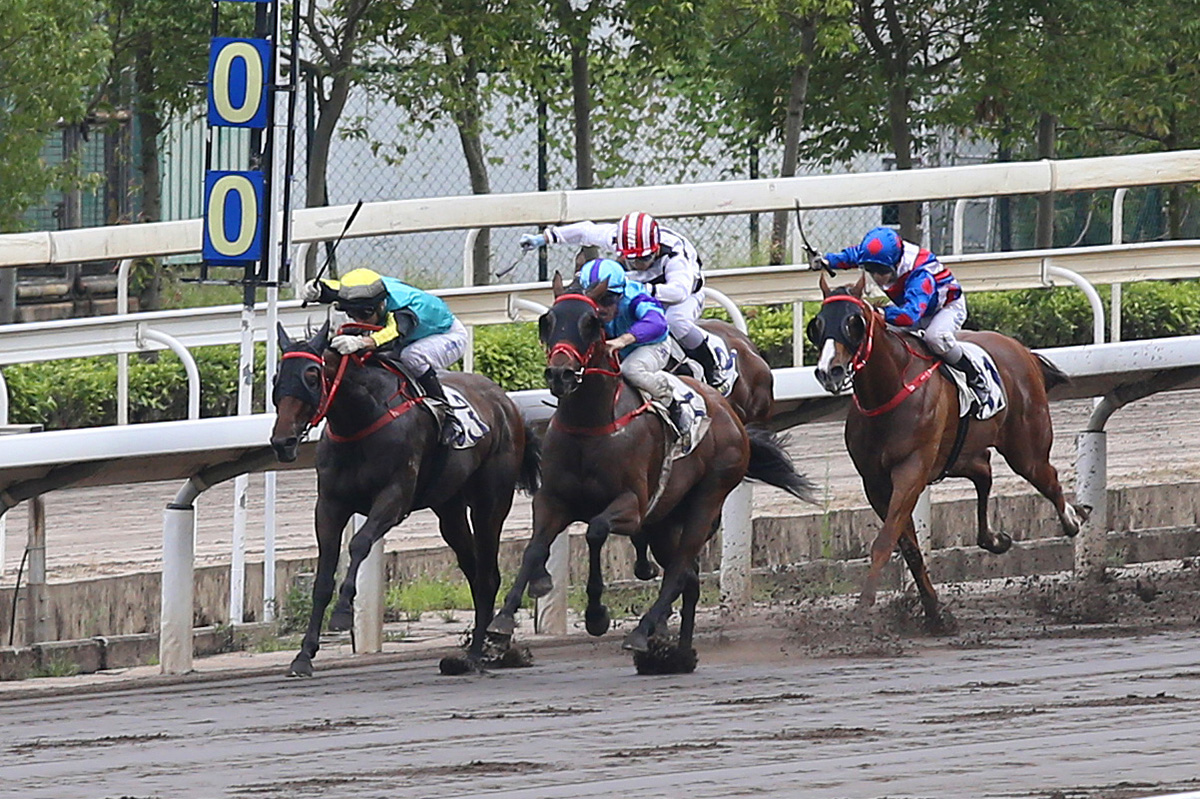 Zac Purton matches Moreira’s four-timer on Patch Baby (in purple) in Race 10.