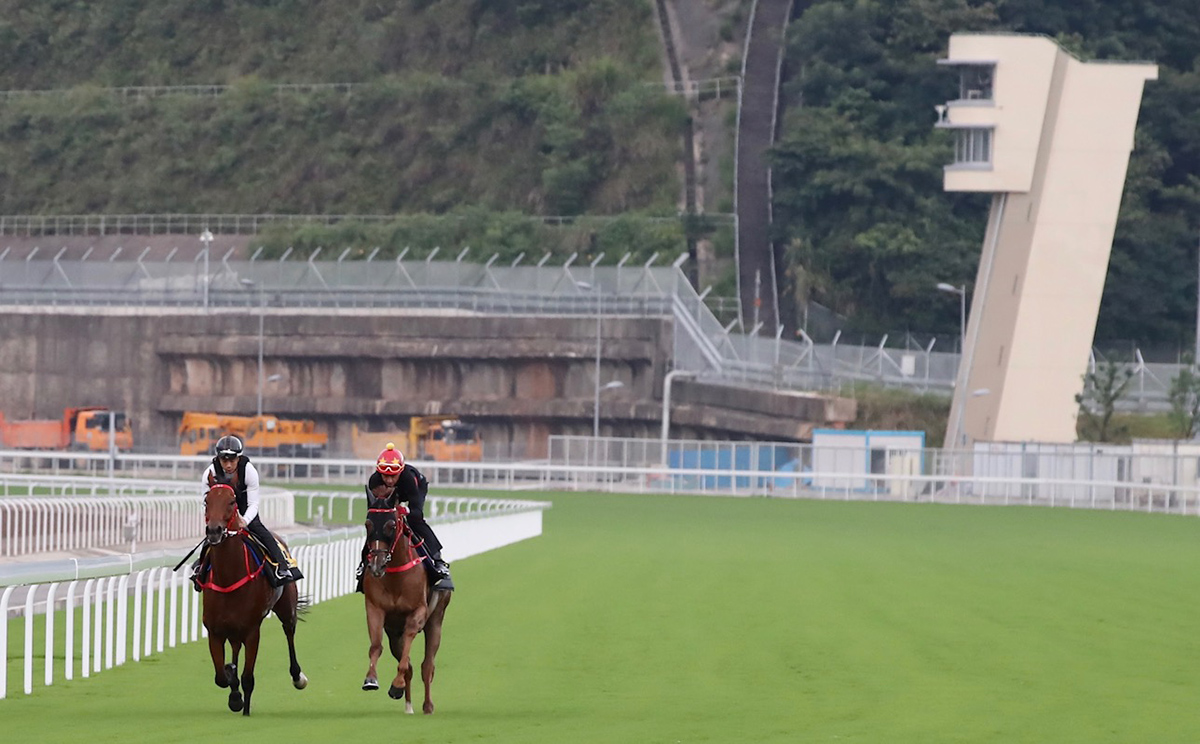 Jockeys Douglas Whyte and Derek Leung partner Racing Development Board stable horses for fast work on the turf course at Conghua Training Centre this morning.