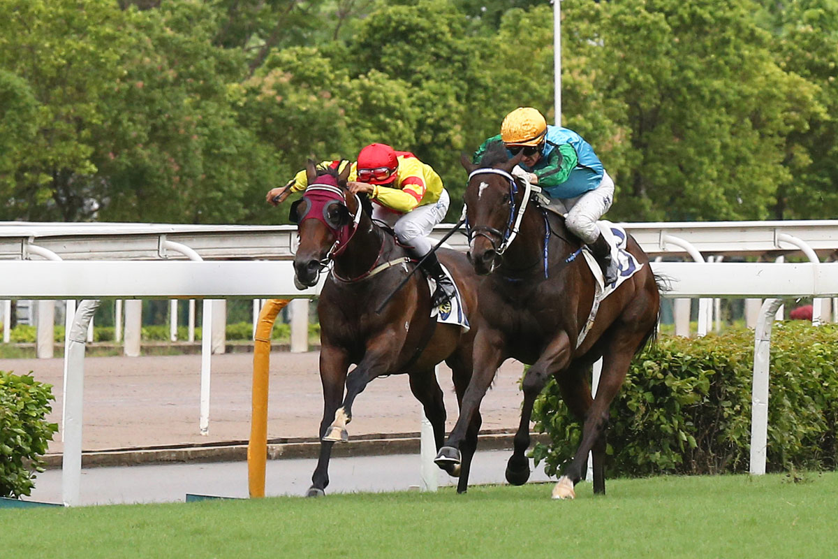 Rise High (yellow cap) races to the lead in the Sha Tin Mile Trophy, clinching the Champion Jockey title for Zac Purton.