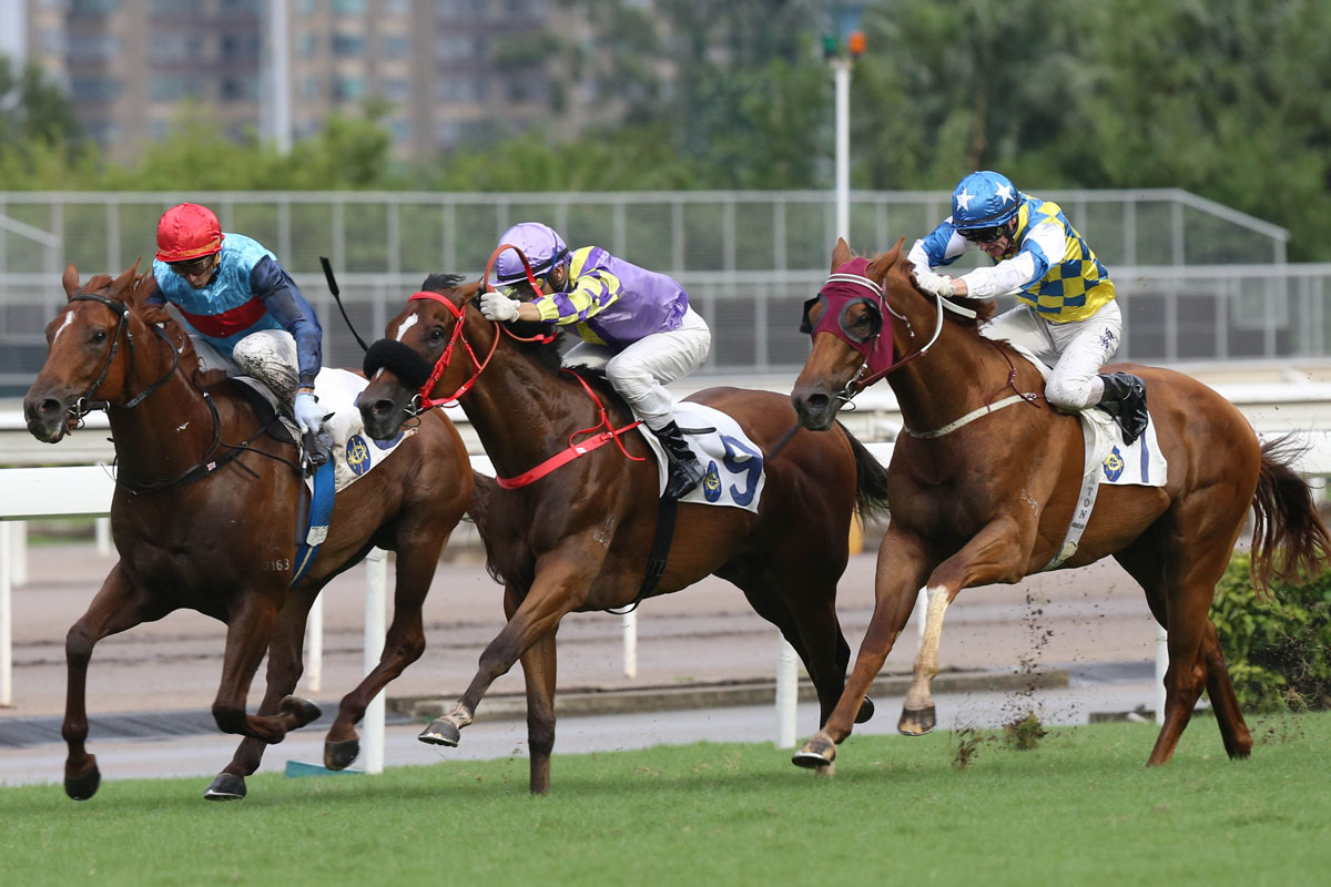 Three of Hong Kong’s Champion Jockeys fight out the finish to the last race of the season: 13-time champion Douglas Whyte on Star Shine (red cap) holds off Joao Moreira on Hezthewonforus (purple cap) and Zac Purton on Solar Patch (blue cap).