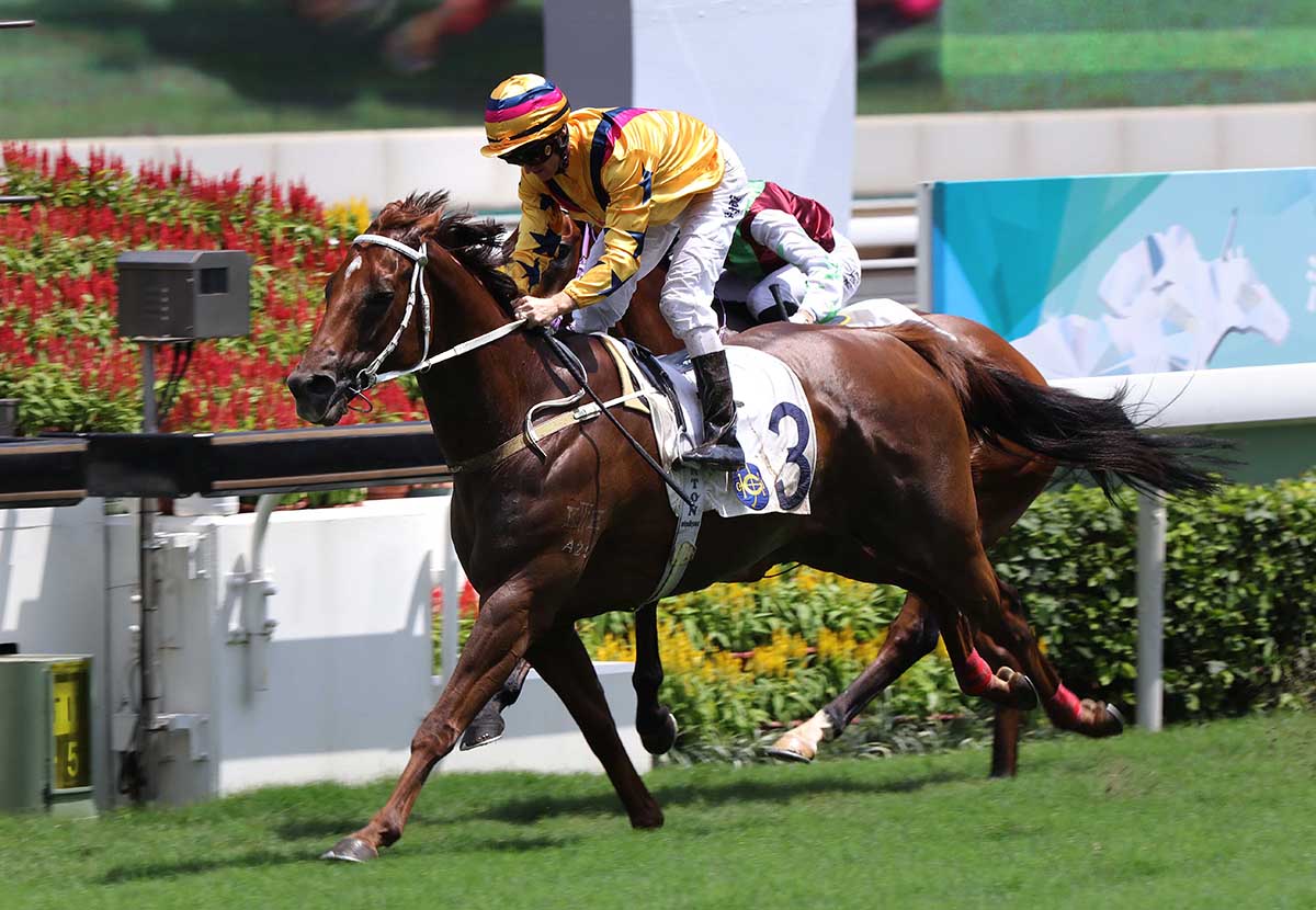 Zac Purton will partner Winner’s Way in Sunday’s HKSAR Chief Executive’s Cup.