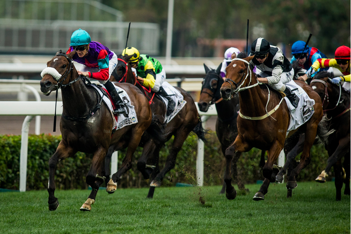 Schofield and Singapore Sling land the Hong Kong Classic Cup last season.
