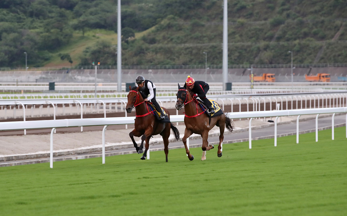 Douglas Whyte (red cap) and Derek Leung exercise horses on the turf track at Conghua.